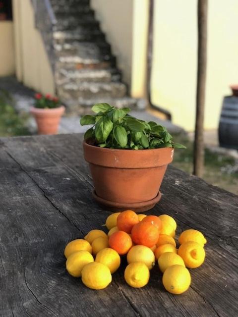 Agriturismo La Posta Reale 菲博基堡 外观 照片