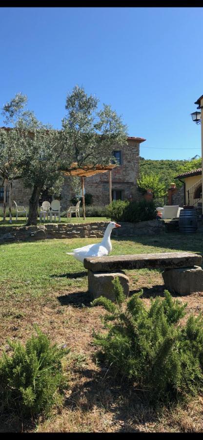 Agriturismo La Posta Reale 菲博基堡 外观 照片