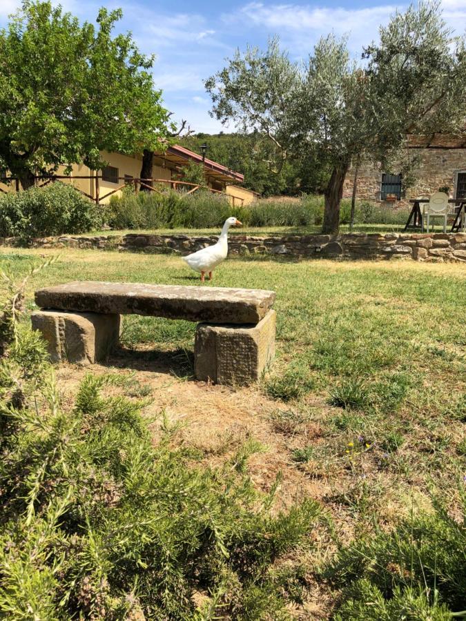 Agriturismo La Posta Reale 菲博基堡 外观 照片