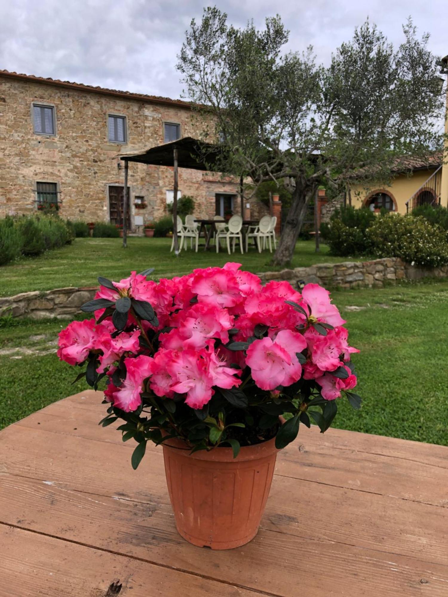 Agriturismo La Posta Reale 菲博基堡 外观 照片