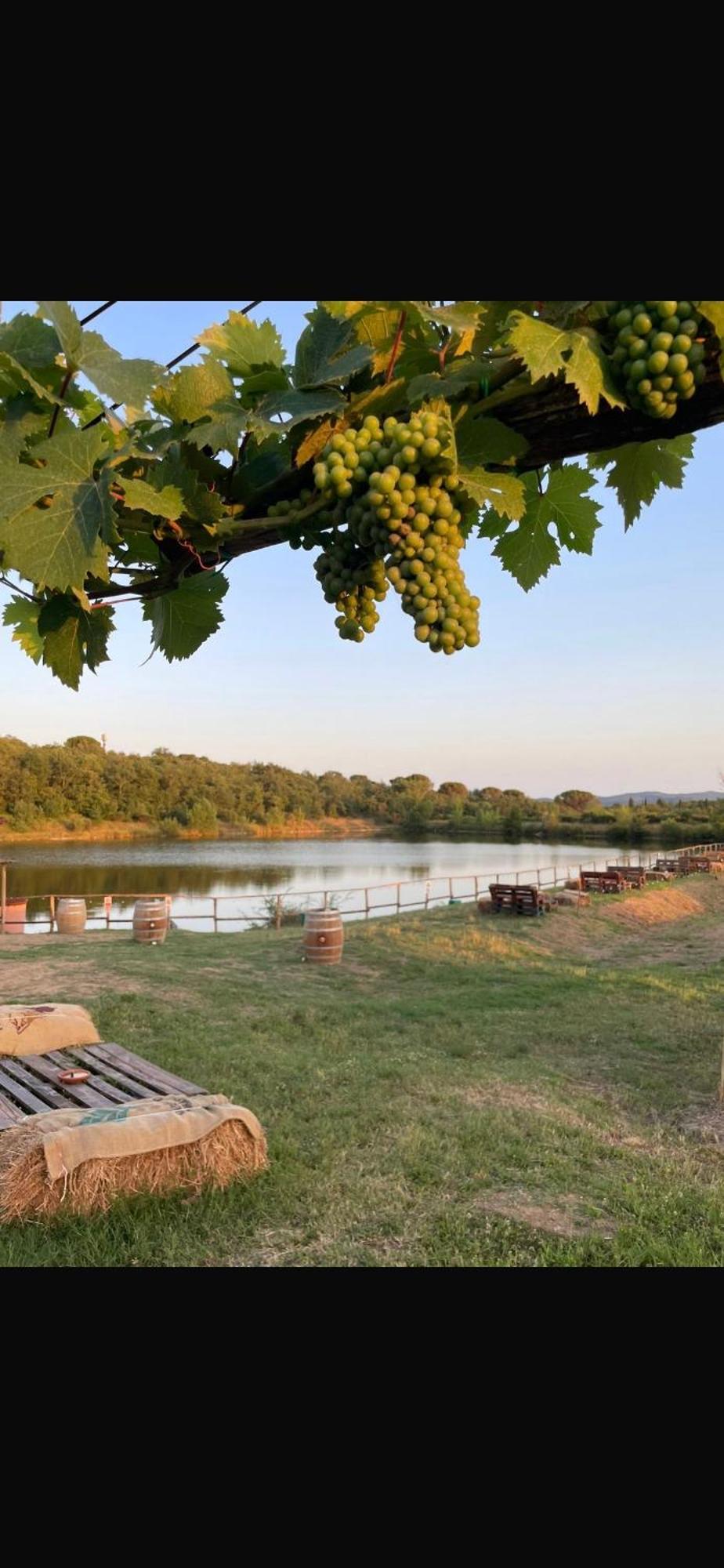 Agriturismo La Posta Reale 菲博基堡 外观 照片